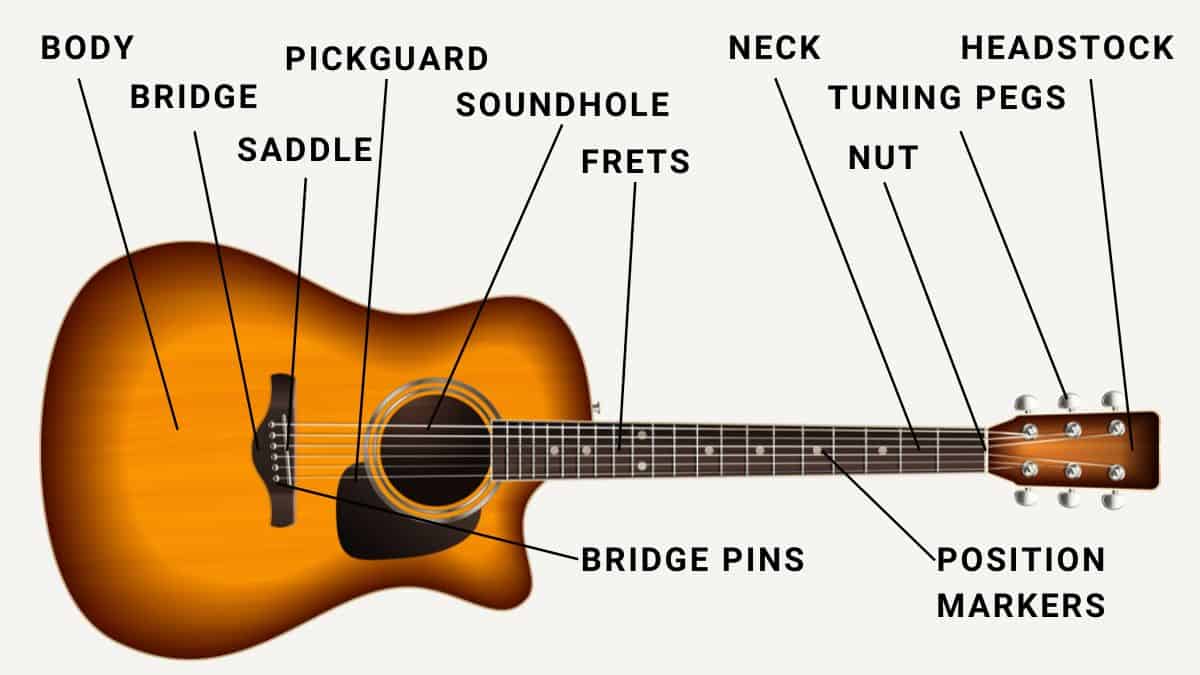 Understanding Guitar Parts Anatomy Of A Guitar Instrumentful