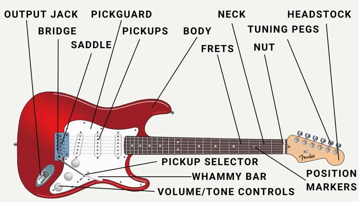 Understanding Guitar Parts Anatomy Of A Guitar Instrumentful