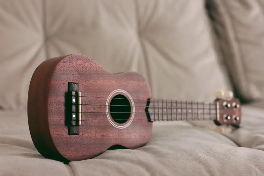 ukulele instrument