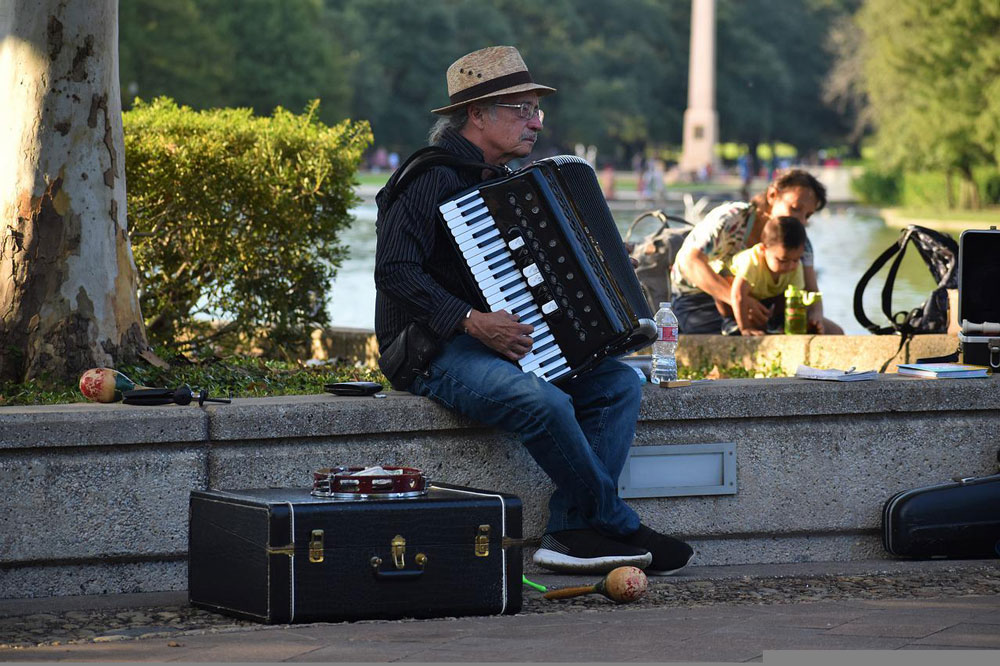 accordion celtic instrument