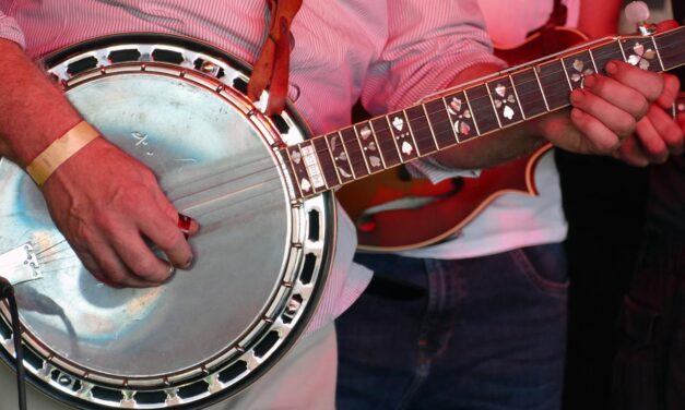 Top 10 Cheap Banjos for Beginner and Intermediate Players