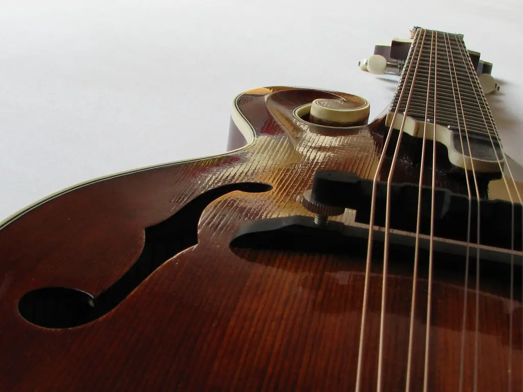 learn to play mandolin