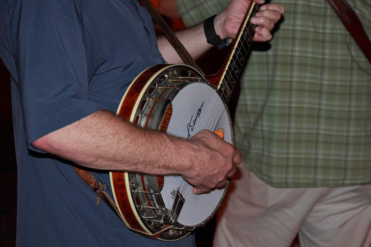 bluegrass banjo with resonator