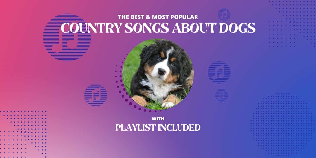 Top 18 Country Songs about Dogs
