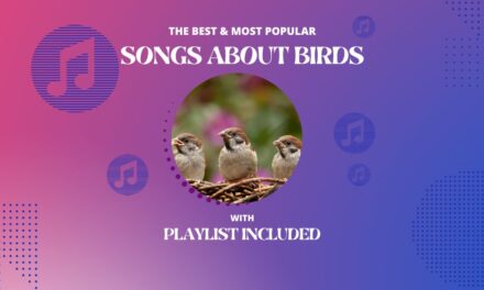 11 Songs About Birds