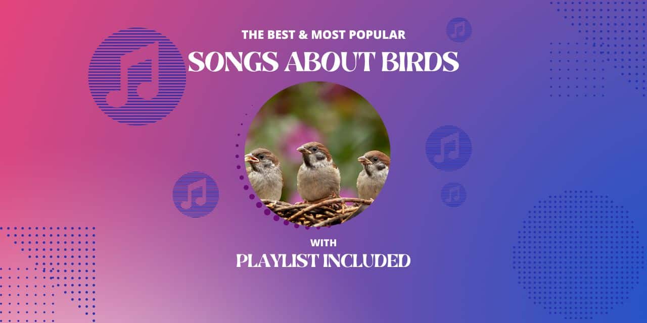 11 Songs About Birds