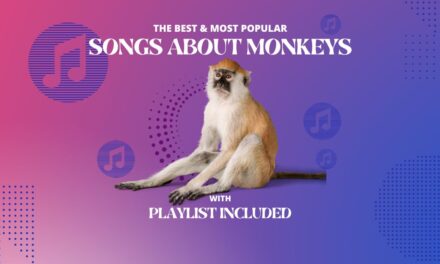17 Songs About Monkeys