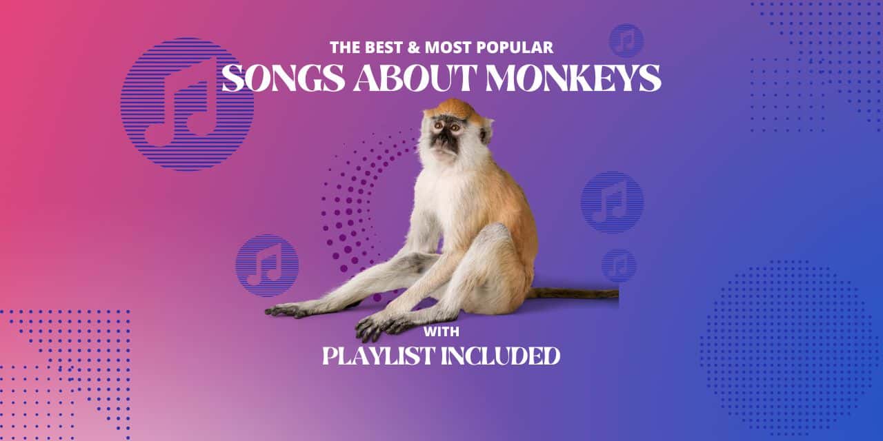 17 Songs About Monkeys