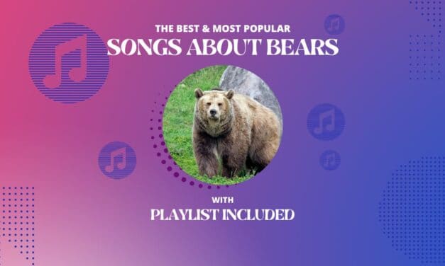 Top 14 Songs About Bear