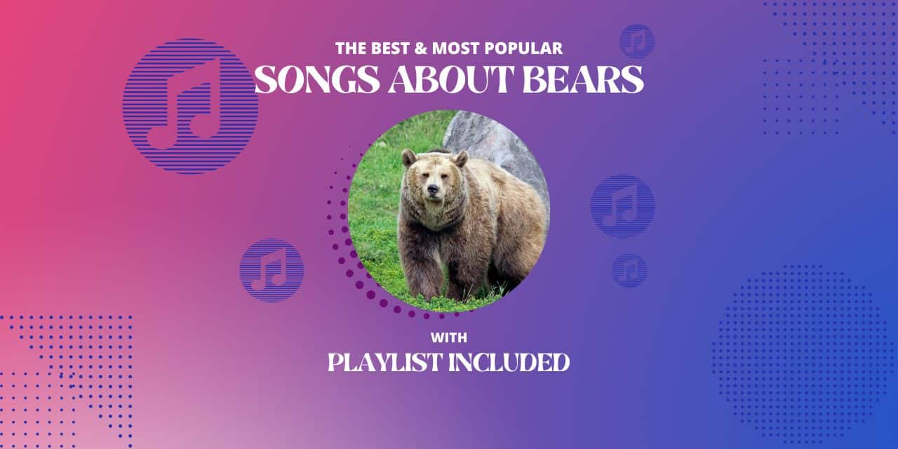 Top 14 Songs About Bear