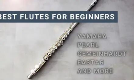 Best Flutes for Beginners [2023 Review]