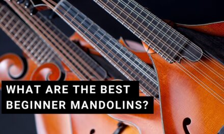 Best Mandolins for Beginners [2023 Review]