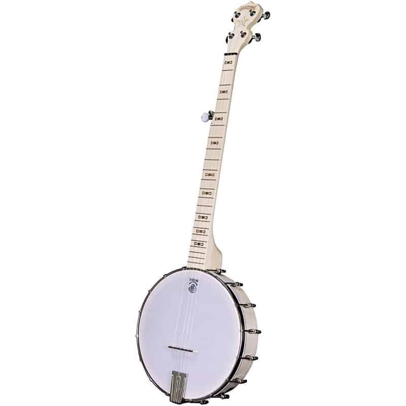 deering goodtime banjo