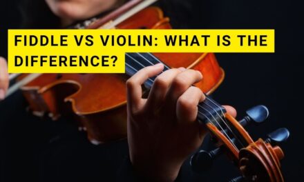 Fiddle vs Violin: What is the Difference?
