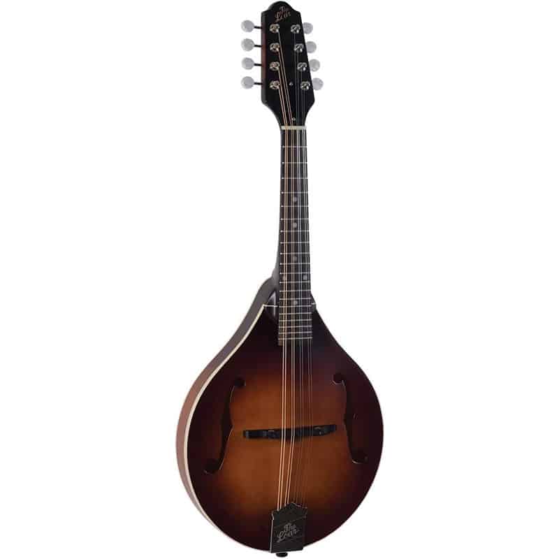 Loar LM-110 mandolin