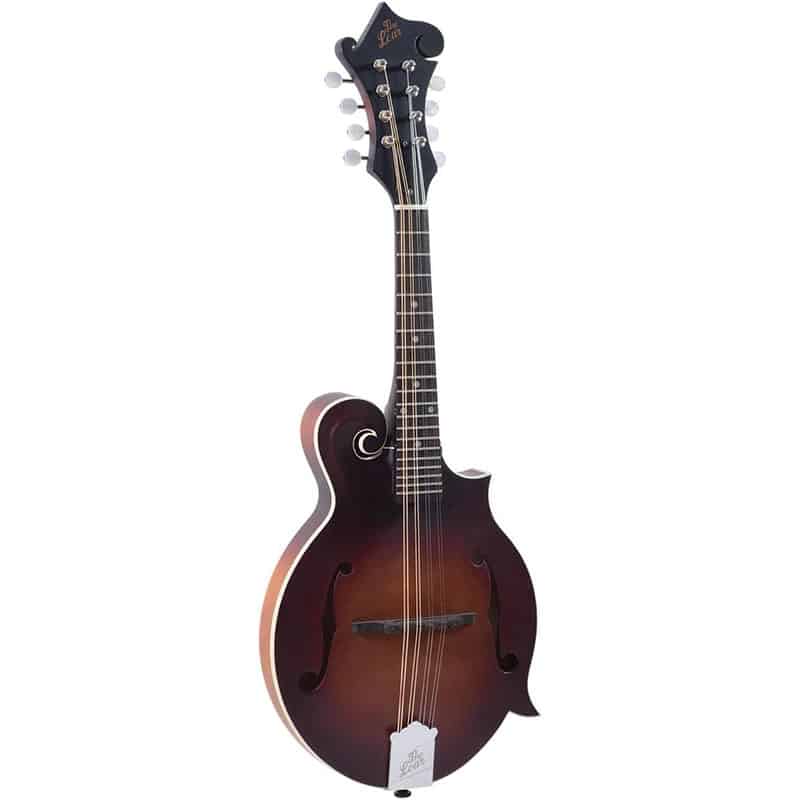 loar mandolin lm-310